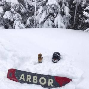 Meet your Posher, Ivan